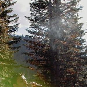 Meet your Posher, Anand